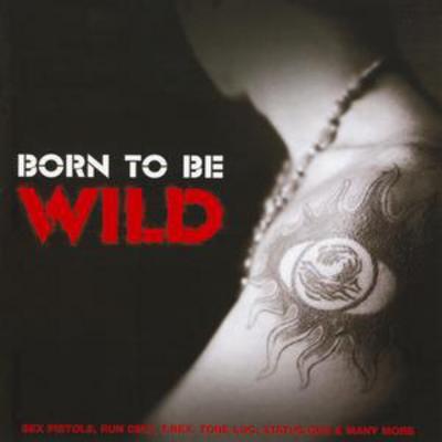 Various Artists - Born to Be Wild CD Album - Used