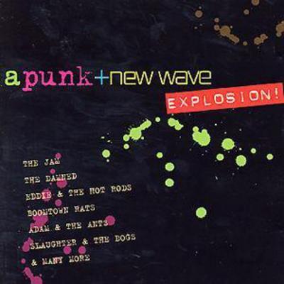 Various Artists - Punk And New Wave Explosion CD Album - Used