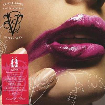 Various Artists - Hotel Voyeur Afterhours CD Album - Used