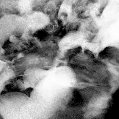 MUS000649234.jpg