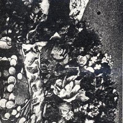 mus000068948.jpg