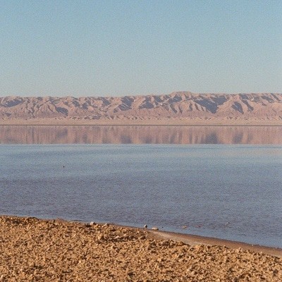MUS000652346.jpg