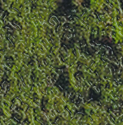 MUS000654612.jpg