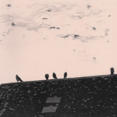 MUS000552948.jpg