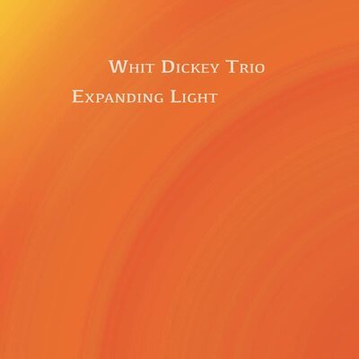 Whit Dickey Trio - Expanding Light CD Album - Used