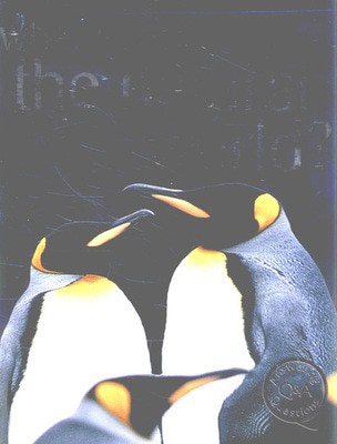9781842367919.jpg