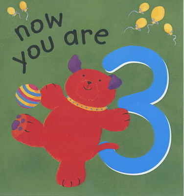 9780745947280.jpg