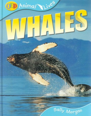 9781845382025.jpg