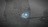 sp1013671211391429.jpg