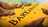 catquest1and2screens461015.jpg