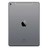 AI000000036436__Space_Grey_No_Touch_ID__1.jpg