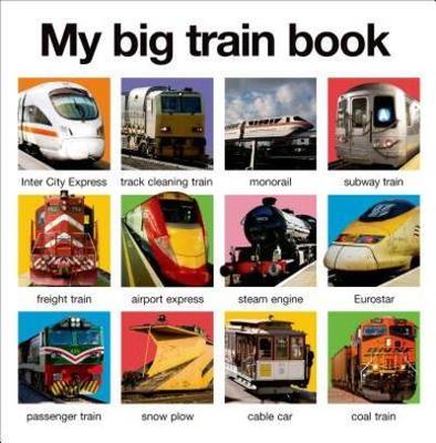 9780312519438.jpg