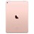 UI090000036414__Rose_Gold_No_Touch_ID__1.jpg