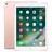 UI090000036414__Rose_Gold_No_Touch_ID__1.jpg
