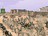 rometotalw101993.jpg