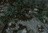 sp101306472978220.jpg