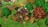 littleking288907.jpg