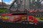 carsraceor302938.jpg