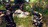 sp101332638484257.jpg