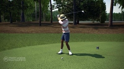 tigerwoods365566.jpg