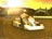 sp101208092951904.jpg