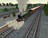 severnvall114781.jpg