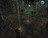 sp101292872975524.jpg