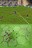 sp101303708977732.jpg
