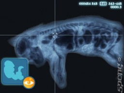 animalplan295112.jpg