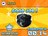 animalplan295112.jpg
