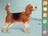 animalplan295112.jpg