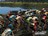 procycling298154.jpg