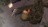 wherethewi306840.jpg