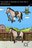cleverkids304979.jpg