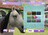 ponyfriend313640.jpg