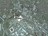 sp101335302983593.jpg