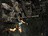 tombraider223575.jpg