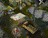 stronghold215214.jpg