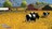 farmingsim403829.jpg