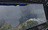sp101347192985904.jpg