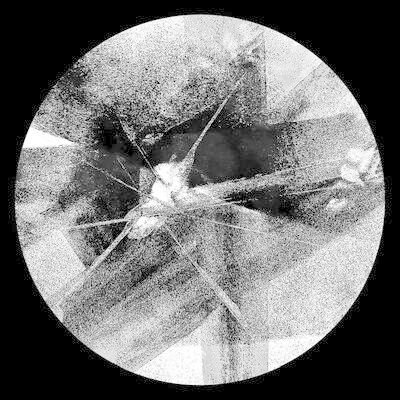MUS000665120.jpg