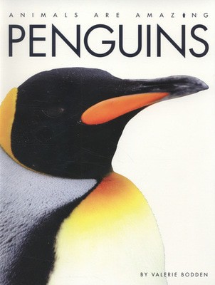 9781445127354.jpg