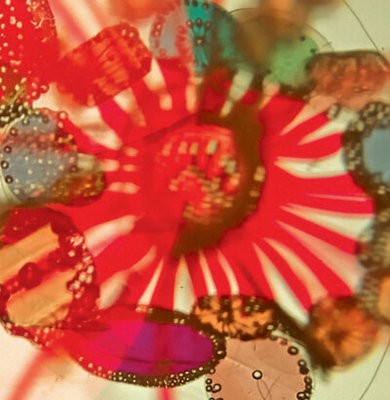 MUS000670813.jpg