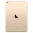 AI090000036669__Gold_No_Touch_ID__1.jpg