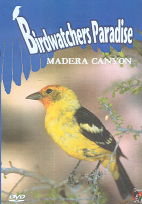 mm00117589.jpg