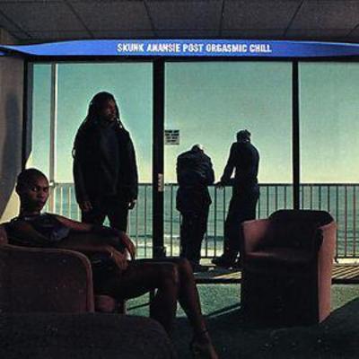 Skunk Anansie - Post Orgasmic Chill CD Album - Used