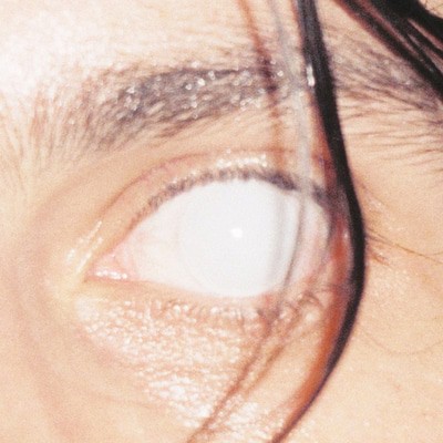 MUS000666999.jpg