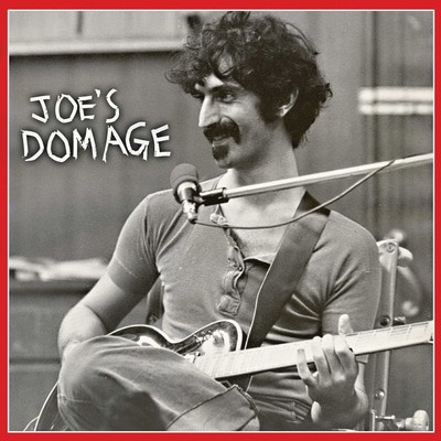 Frank Zappa - Joe's Domage CD Album - Used