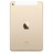 AI050000036636__Gold_No_Touch_ID__1.jpg