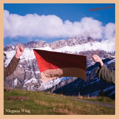 Virginia Wing - Ecstatic Arrow CD Album - Used